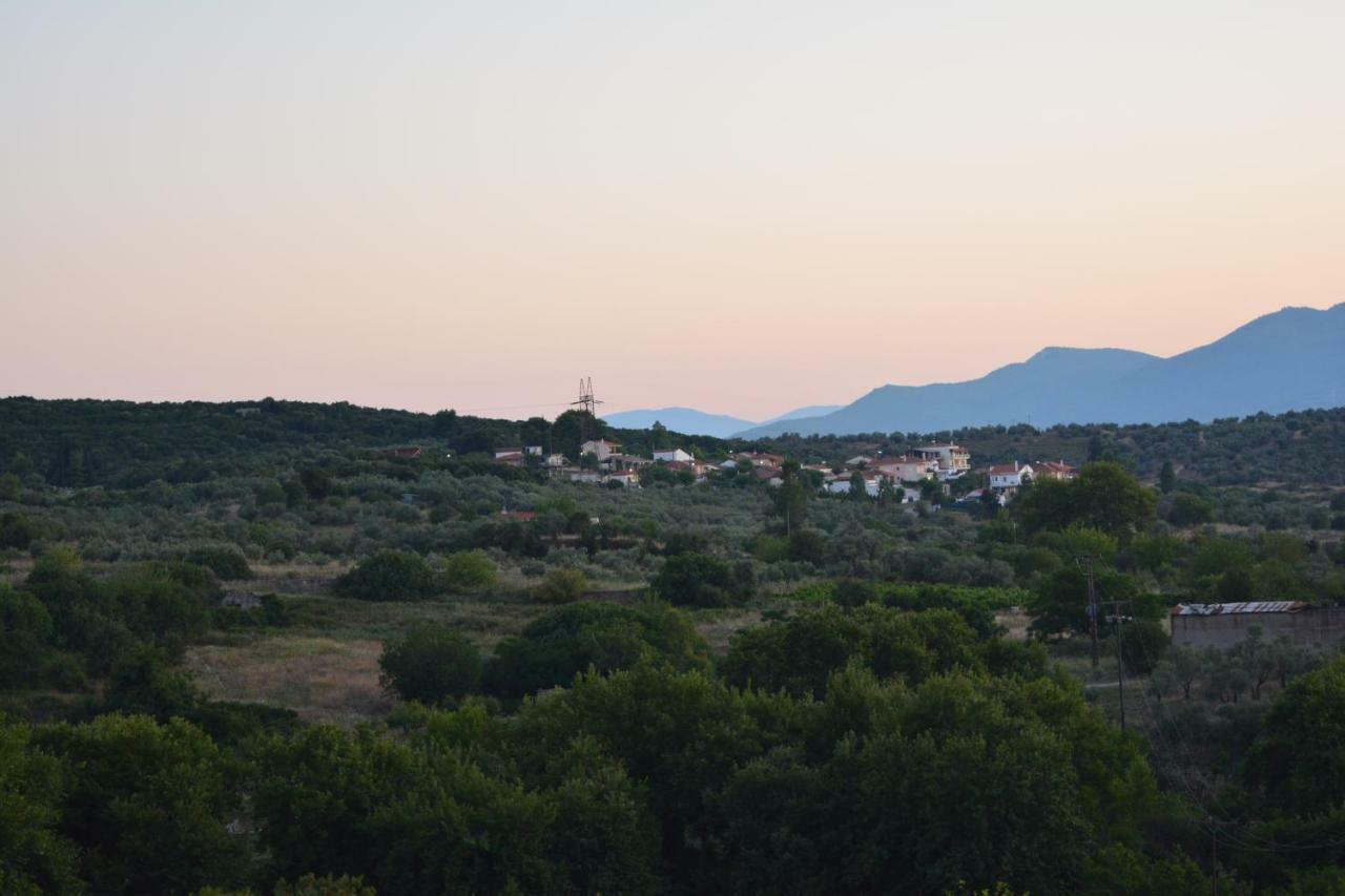 Eleni'S Village Relaxation Home Αιδηψός Εξωτερικό φωτογραφία
