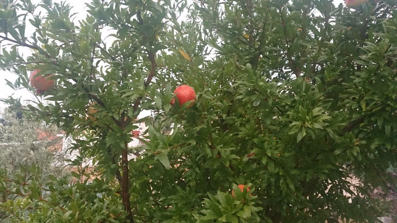 Eleni'S Village Relaxation Home Αιδηψός Εξωτερικό φωτογραφία