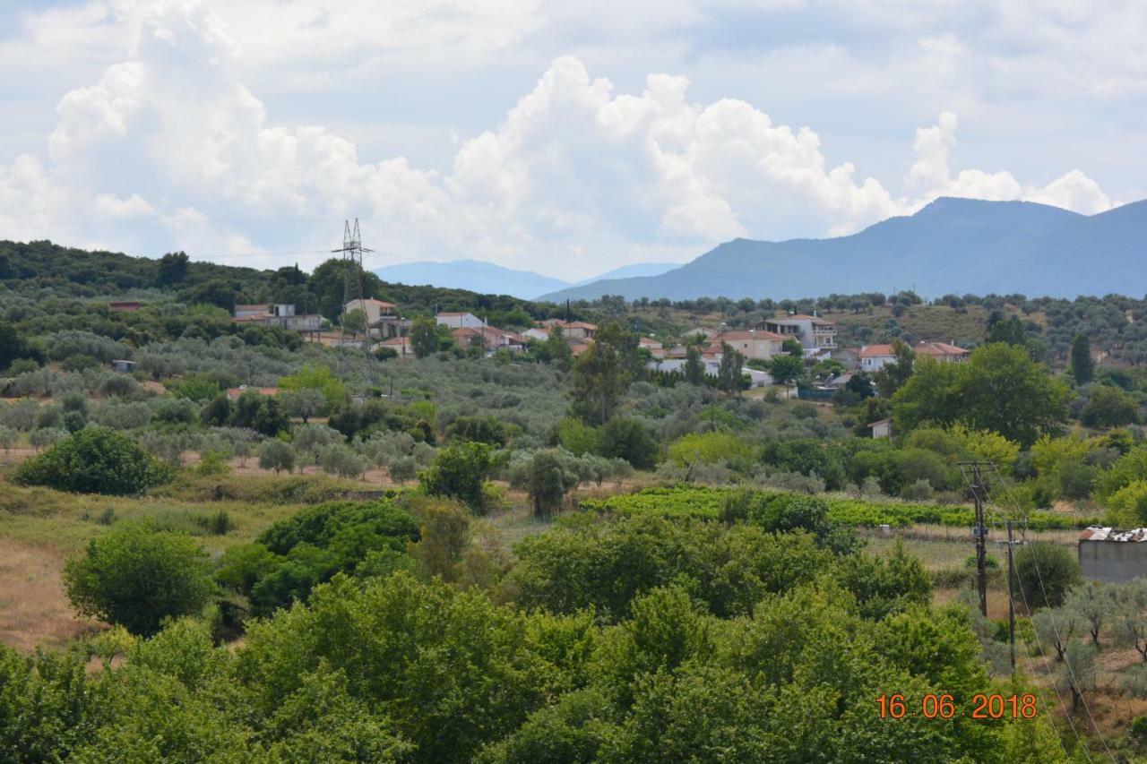 Eleni'S Village Relaxation Home Αιδηψός Εξωτερικό φωτογραφία