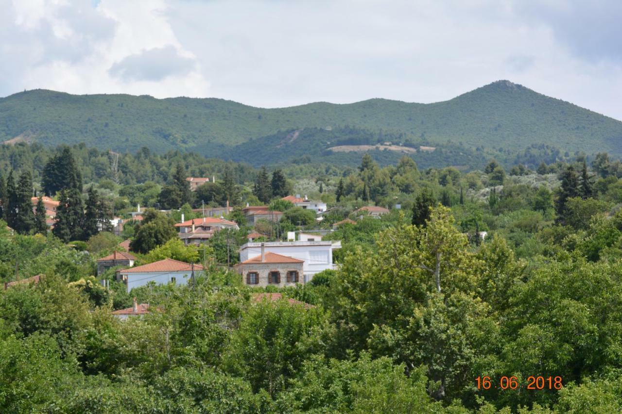 Eleni'S Village Relaxation Home Αιδηψός Εξωτερικό φωτογραφία