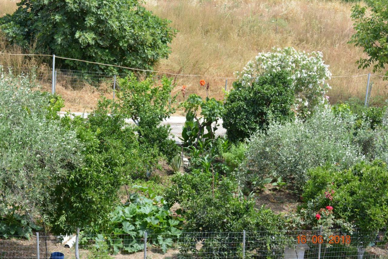 Eleni'S Village Relaxation Home Αιδηψός Εξωτερικό φωτογραφία